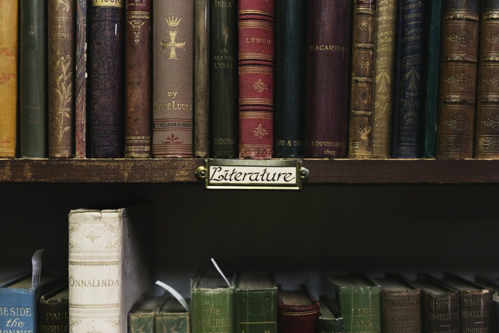 The current image has no alternative text. The file name is: antique-book-store-shelves-scaled.jpg
